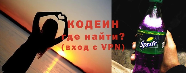 дурь Богородицк