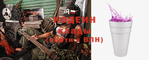 дурь Богородицк