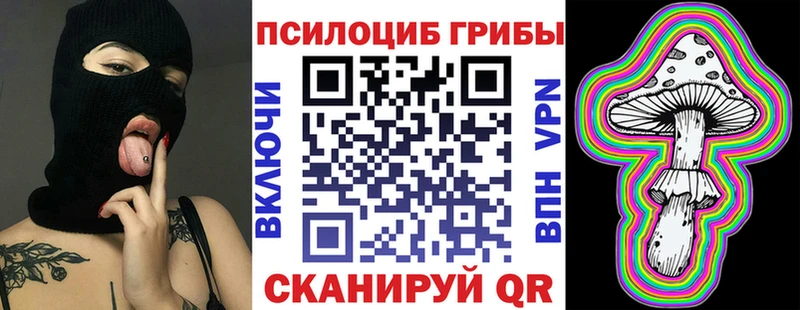 где купить   Рузаевка  Галлюциногенные грибы Cubensis 